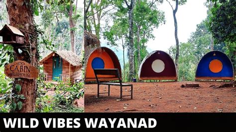 wildvibes|wayanad wood house.